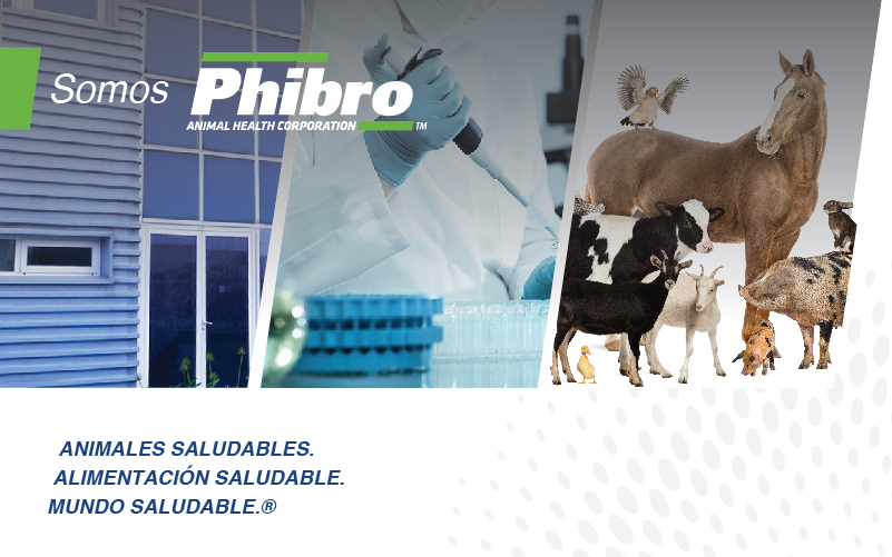 Biotay ahora es Phibro Salud Animal