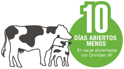 grafico-vaca