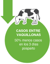 Casos entre vaquillona Casos entre vaquillonas