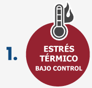 1738328100155-omni-paso-1