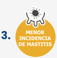 1738328373739-omni-paso-3