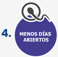 1738328407063-omni-paso-4