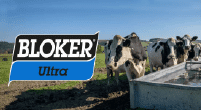 1756133213844-IMG-Bloker-06